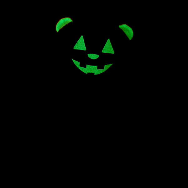 Pumpkin Glow Bear