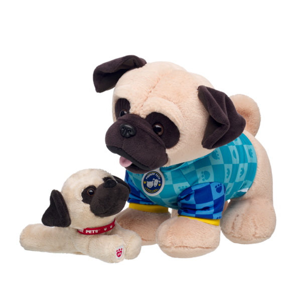 Mini Beans Promise Pets Pug