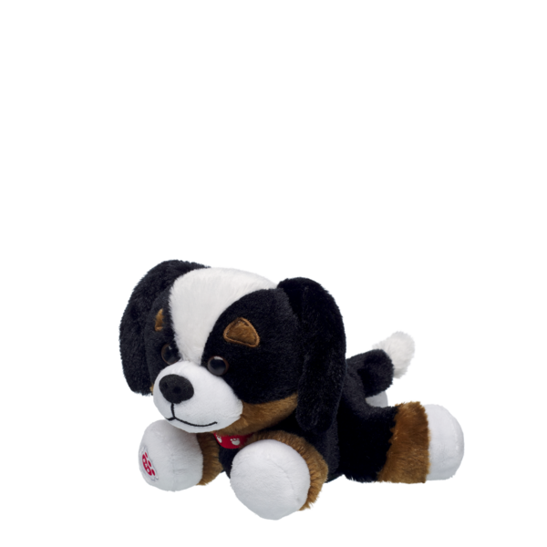 Mini Beans Promise Pets Bernese Mountain Dog