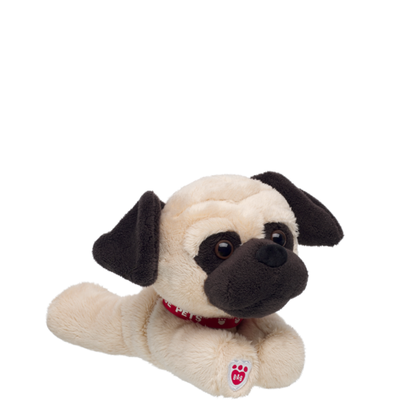 Mini Beans Promise Pets Pug