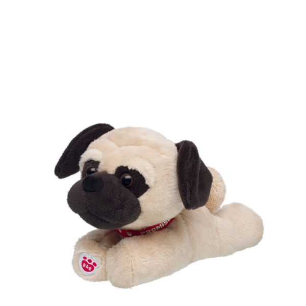 Mini Beans Promise Pets Pug