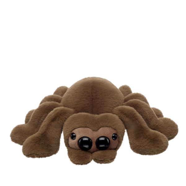 Jumping Spider