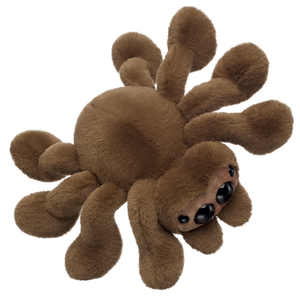 Jumping Spider