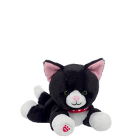 Mini Beans Tuxedo Cat