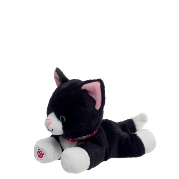 Mini Beans Tuxedo Cat