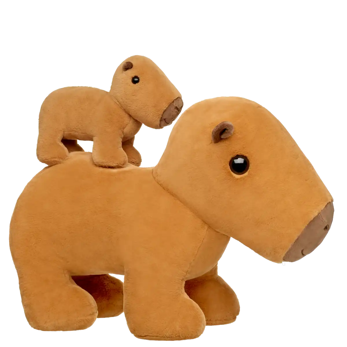 Giant Capybara