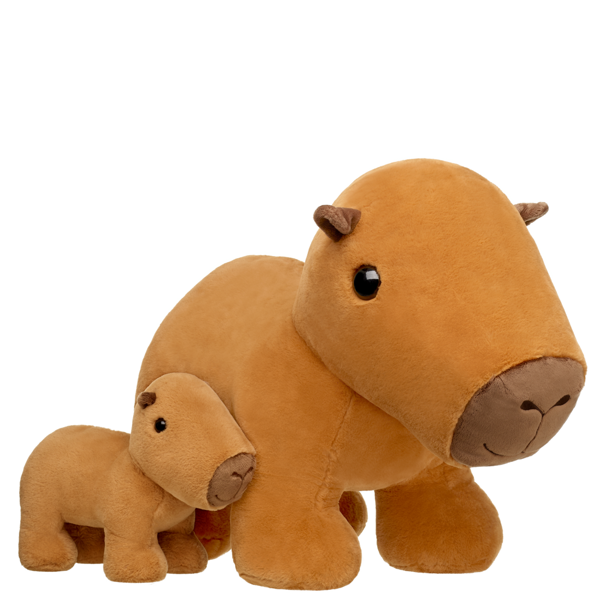 Giant Capybara
