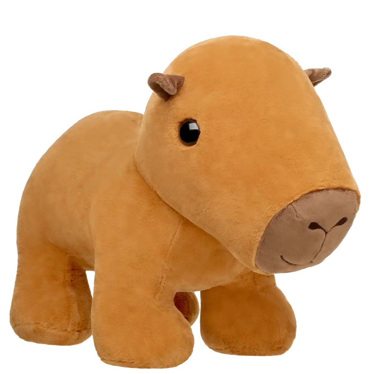 Giant Capybara