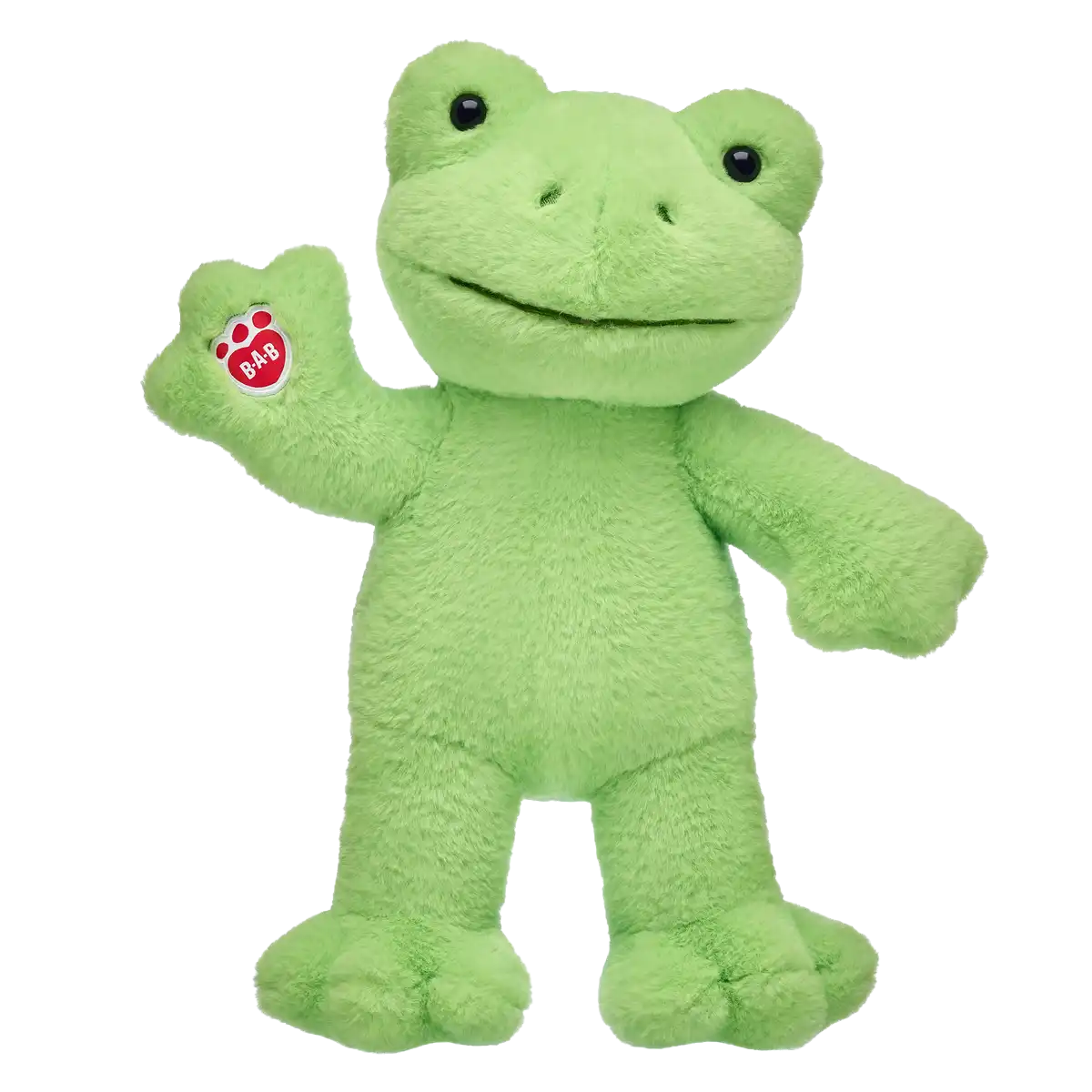 Green Spring Frog