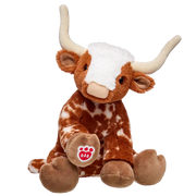 Longhorn Cow