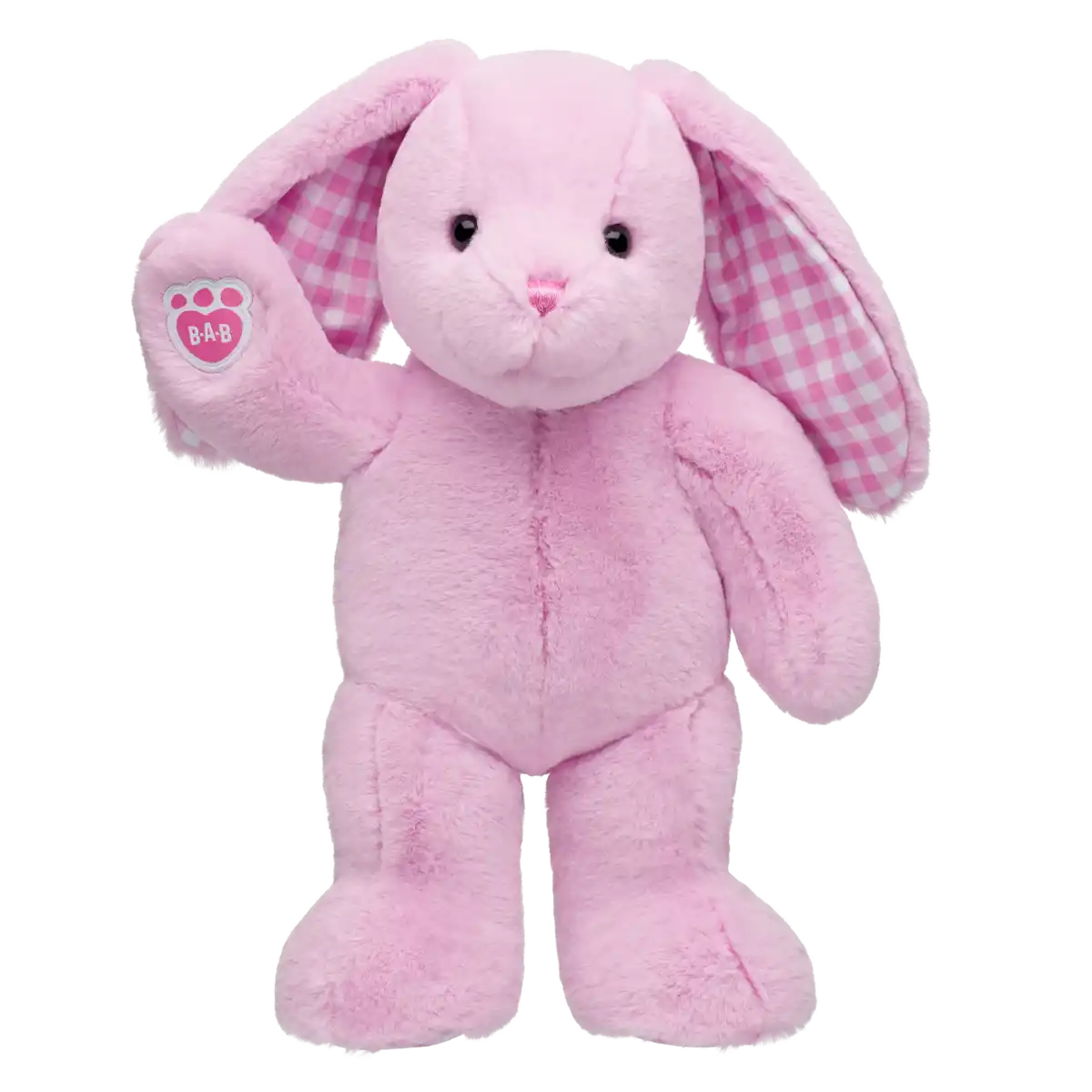 Ping Gingham Pawlette