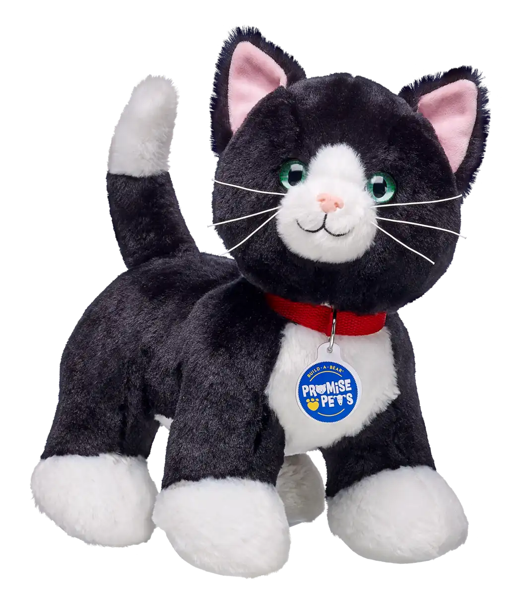 Promise Pets Tuxedo Cat