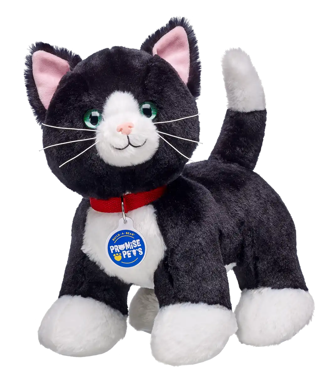 Promise Pets Tuxedo Cat