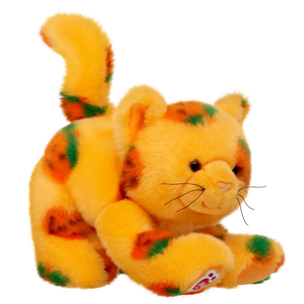 Pumpkin Kitty