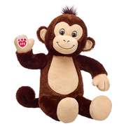 Smiley Monkey