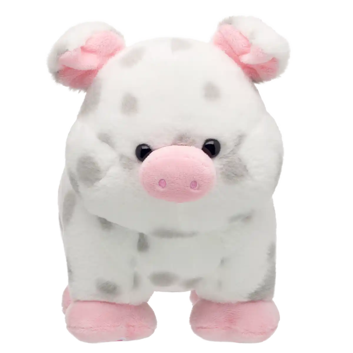 Spotted Pig
