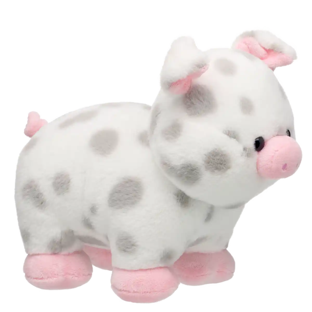 Spotted Pig
