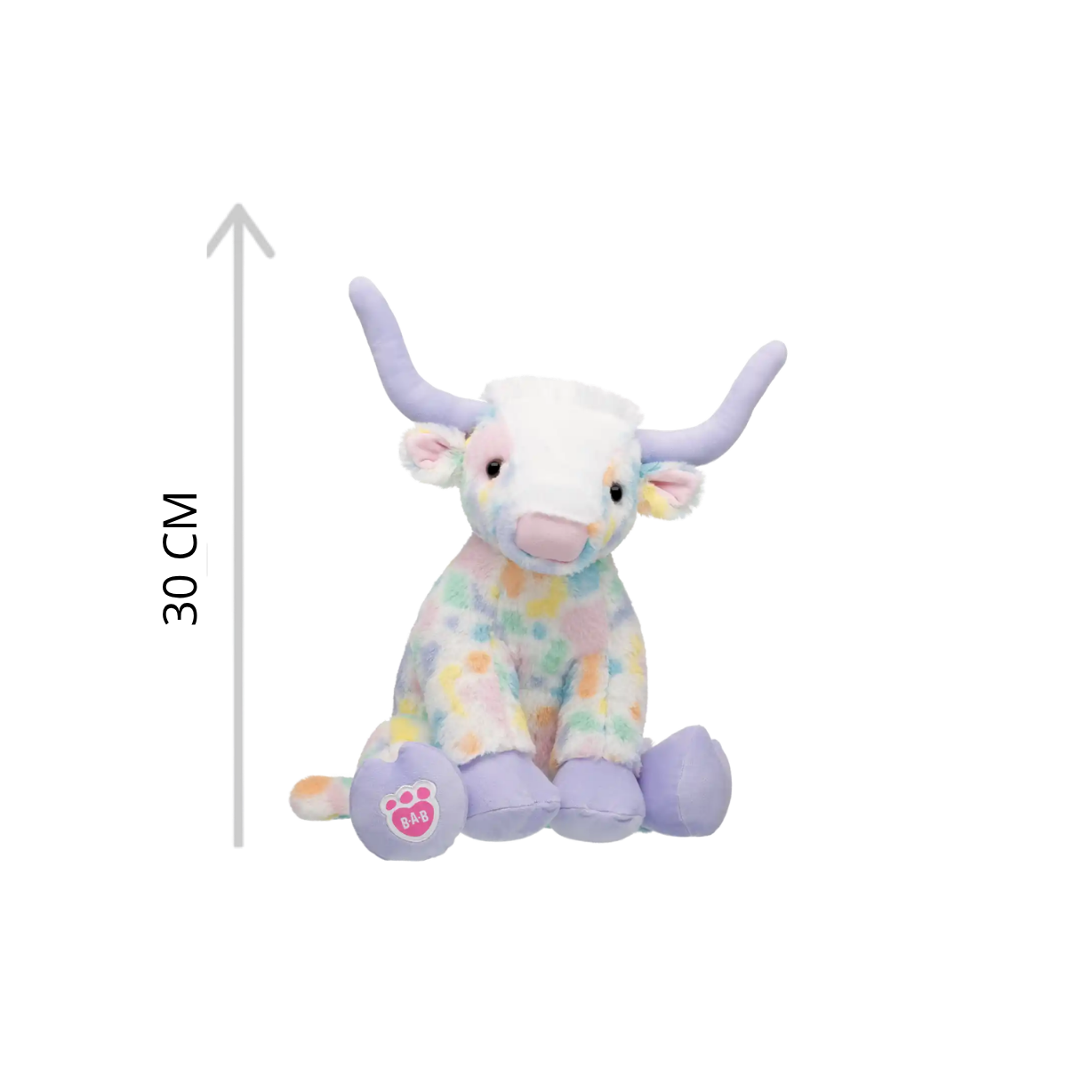 Spring Longhorn
