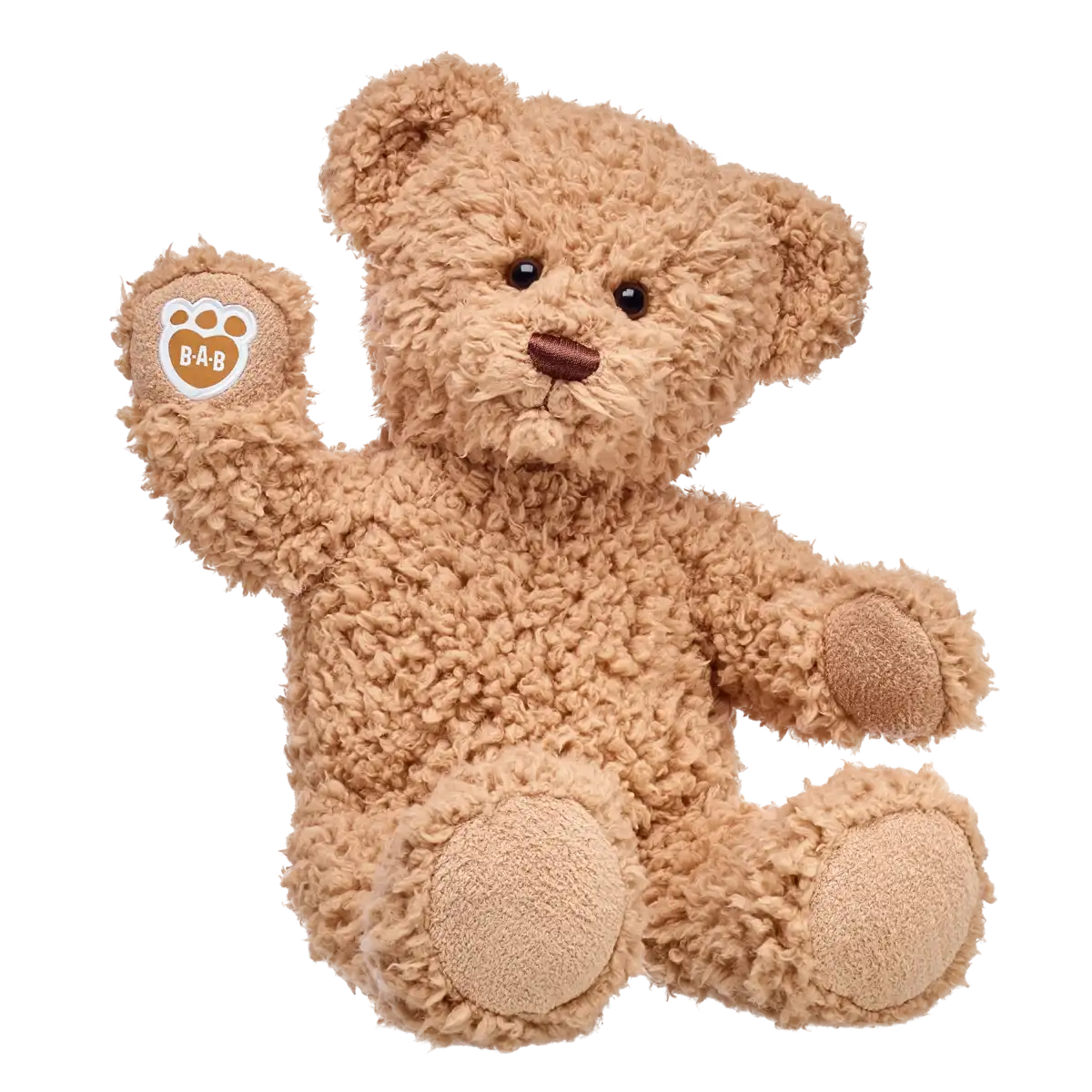 Timeless Teddy