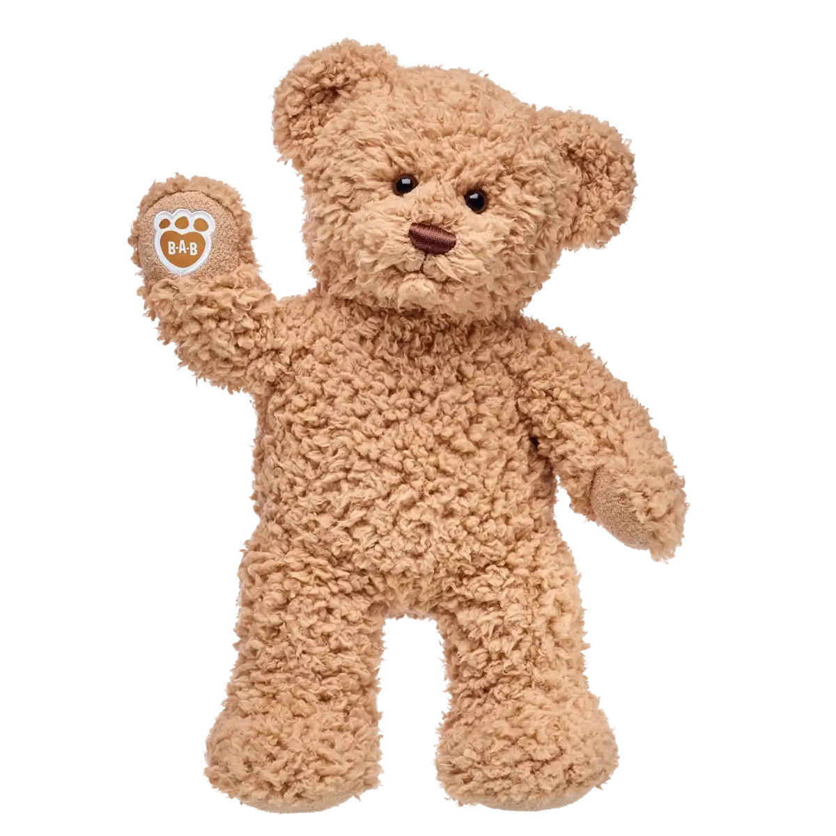 Timeless Teddy