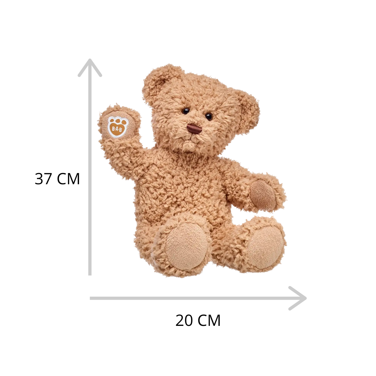 Timeless Teddy